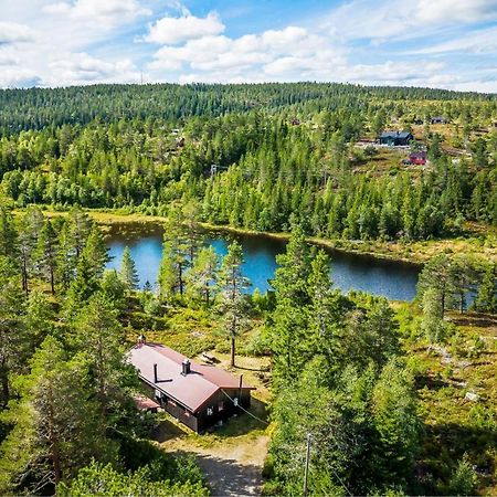 Ro I Sjelen. Hytte Til Leie Pa Skrim. Kongsberg Ngoại thất bức ảnh