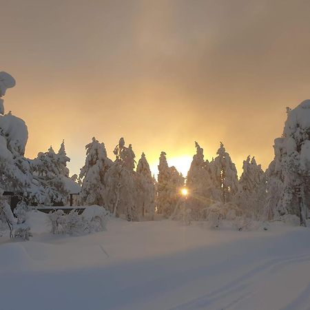 Ro I Sjelen. Hytte Til Leie Pa Skrim. Kongsberg Ngoại thất bức ảnh