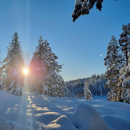 Ro I Sjelen. Hytte Til Leie Pa Skrim. Kongsberg Ngoại thất bức ảnh