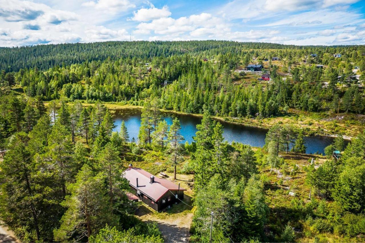 Ro I Sjelen. Hytte Til Leie Pa Skrim. Kongsberg Ngoại thất bức ảnh