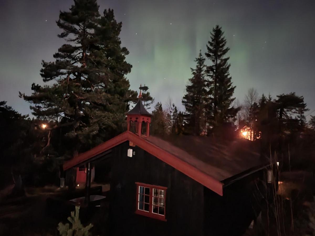 Ro I Sjelen. Hytte Til Leie Pa Skrim. Kongsberg Ngoại thất bức ảnh