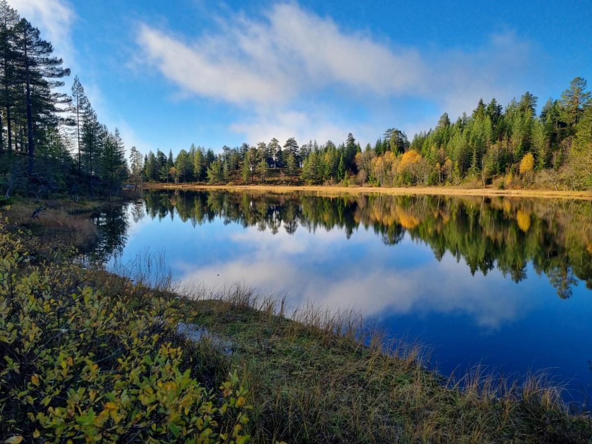 Ro I Sjelen. Hytte Til Leie Pa Skrim. Kongsberg Ngoại thất bức ảnh