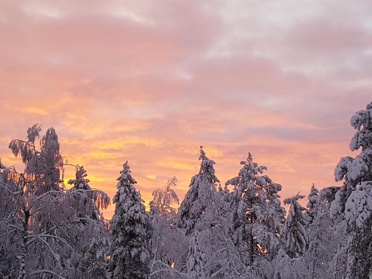 Ro I Sjelen. Hytte Til Leie Pa Skrim. Kongsberg Ngoại thất bức ảnh