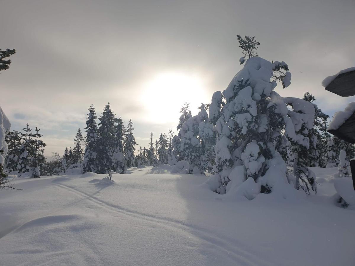 Ro I Sjelen. Hytte Til Leie Pa Skrim. Kongsberg Ngoại thất bức ảnh