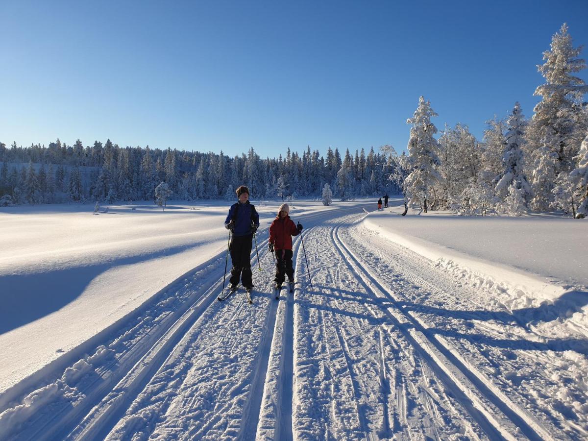 Ro I Sjelen. Hytte Til Leie Pa Skrim. Kongsberg Ngoại thất bức ảnh