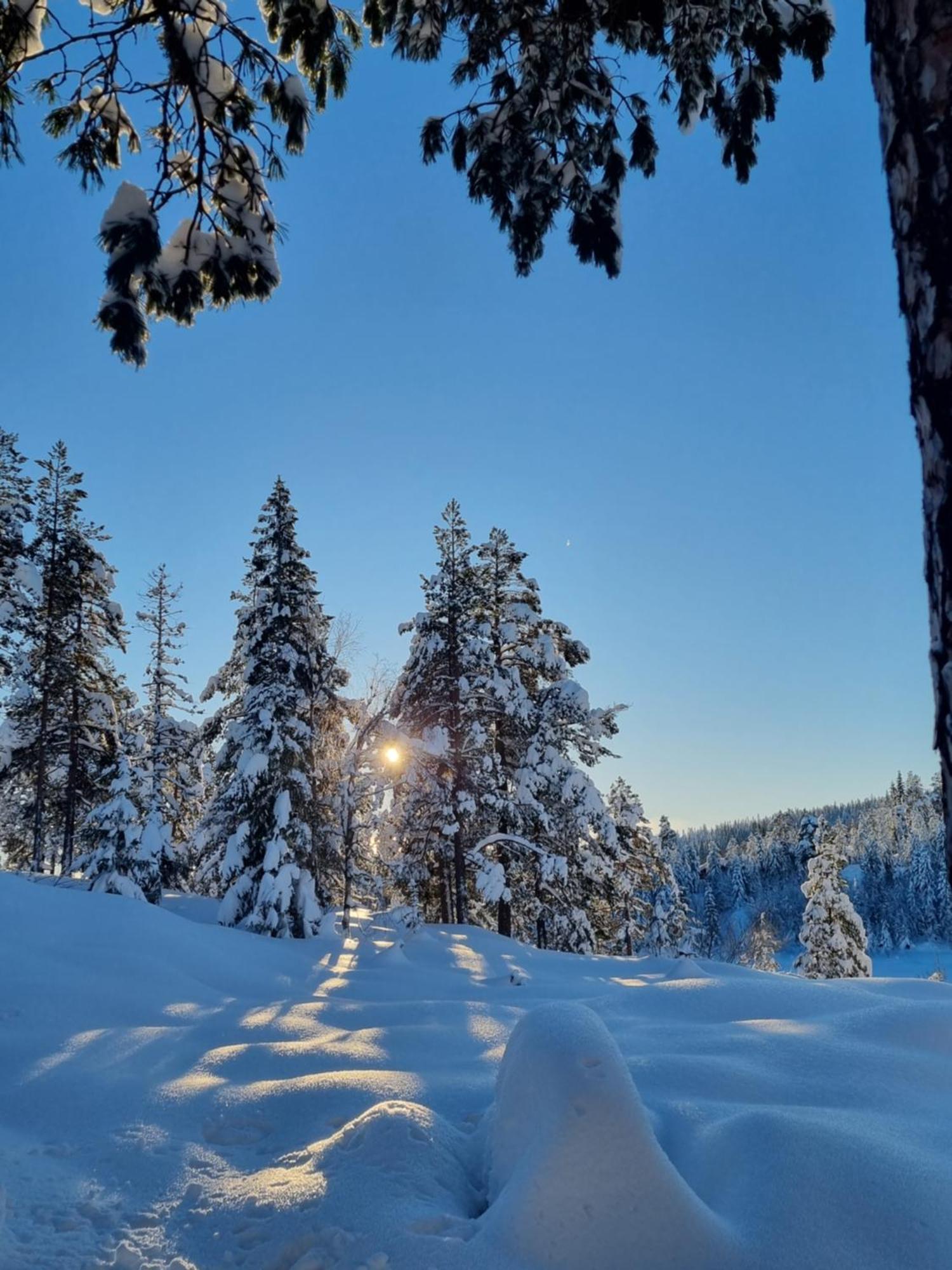 Ro I Sjelen. Hytte Til Leie Pa Skrim. Kongsberg Ngoại thất bức ảnh