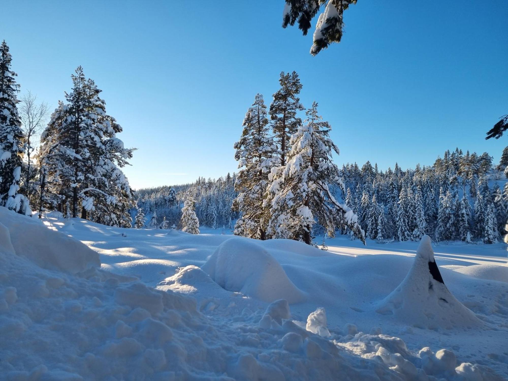 Ro I Sjelen. Hytte Til Leie Pa Skrim. Kongsberg Ngoại thất bức ảnh