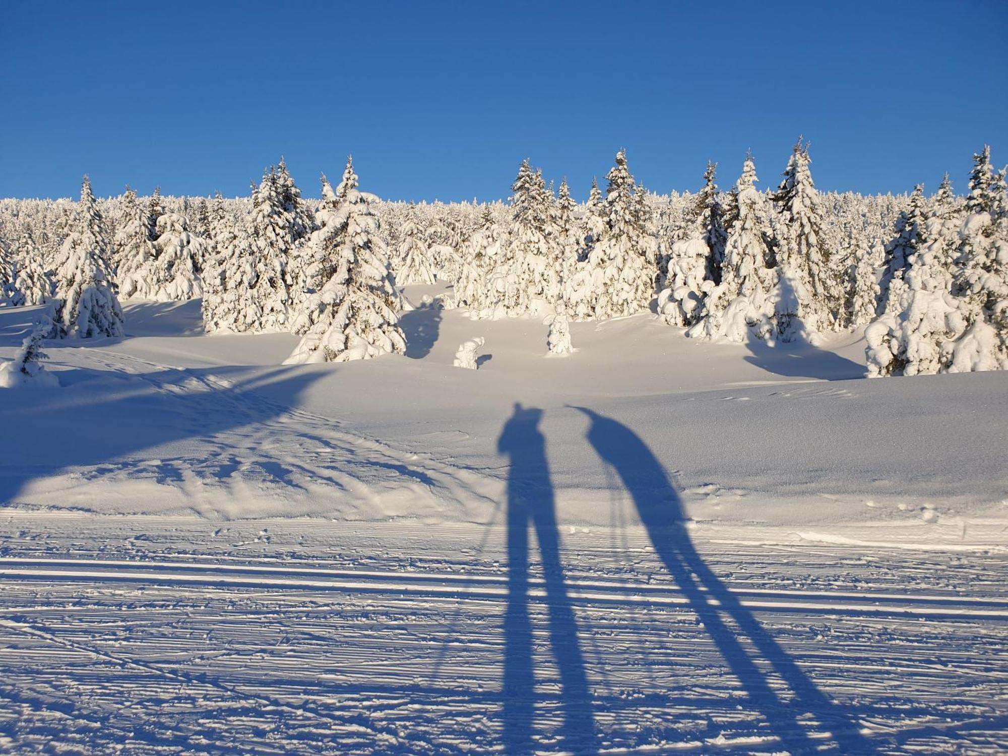 Ro I Sjelen. Hytte Til Leie Pa Skrim. Kongsberg Ngoại thất bức ảnh