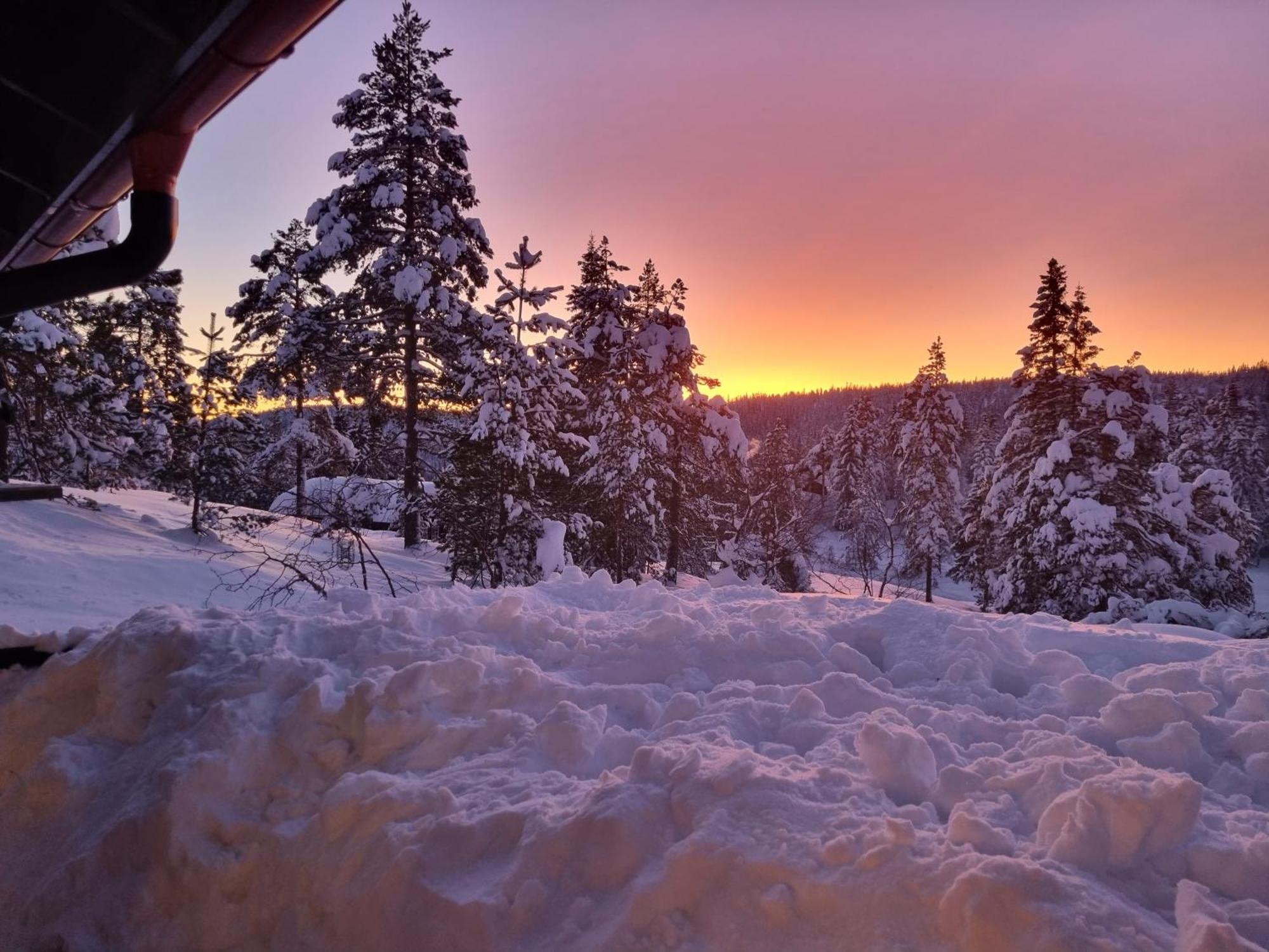 Ro I Sjelen. Hytte Til Leie Pa Skrim. Kongsberg Ngoại thất bức ảnh