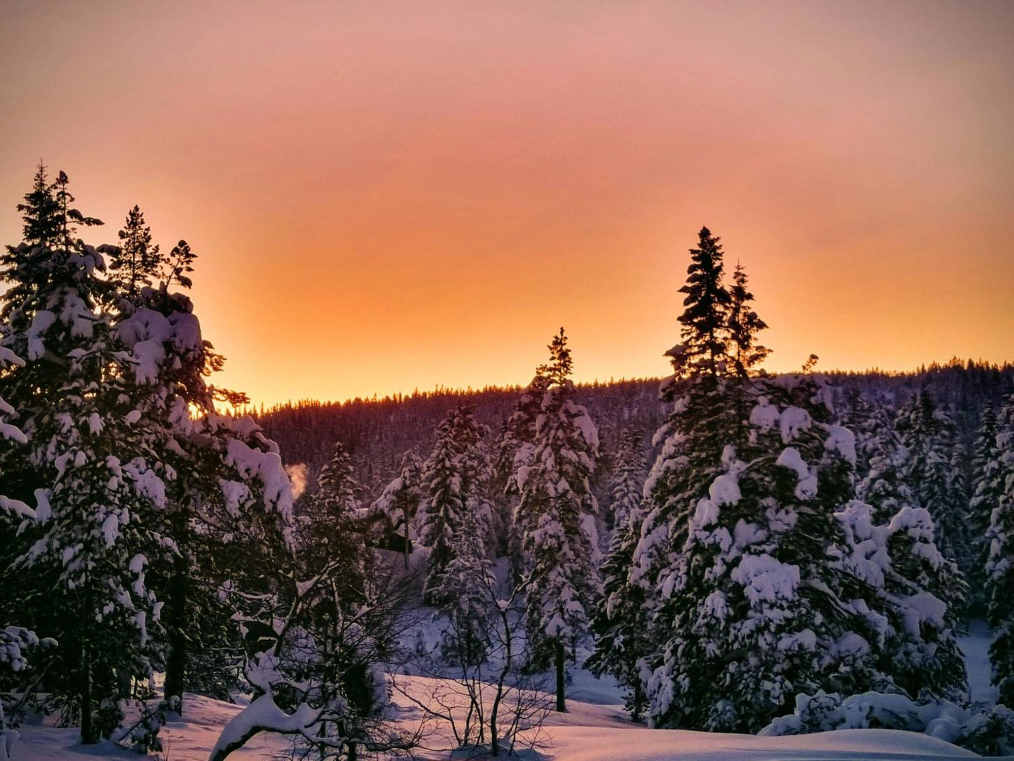 Ro I Sjelen. Hytte Til Leie Pa Skrim. Kongsberg Ngoại thất bức ảnh