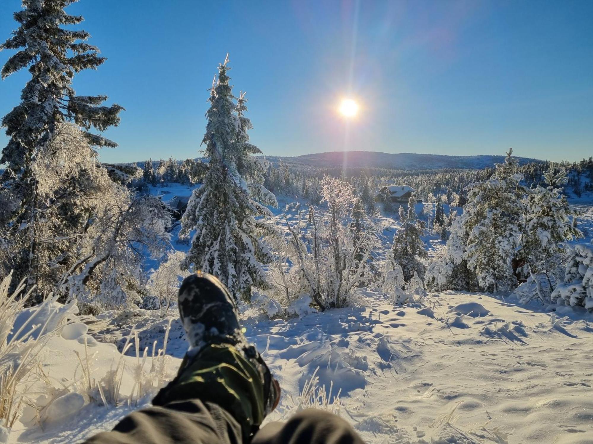 Ro I Sjelen. Hytte Til Leie Pa Skrim. Kongsberg Ngoại thất bức ảnh