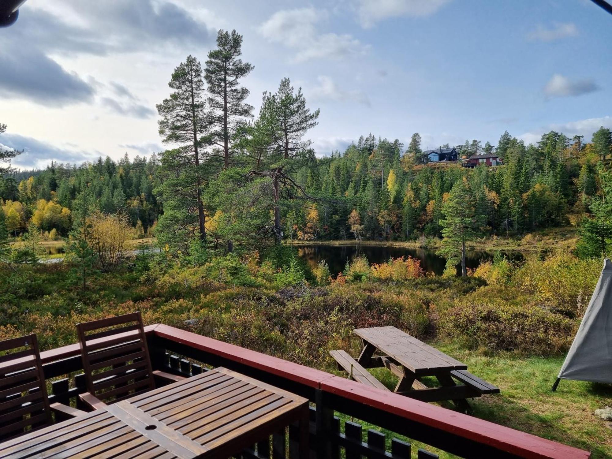 Ro I Sjelen. Hytte Til Leie Pa Skrim. Kongsberg Ngoại thất bức ảnh