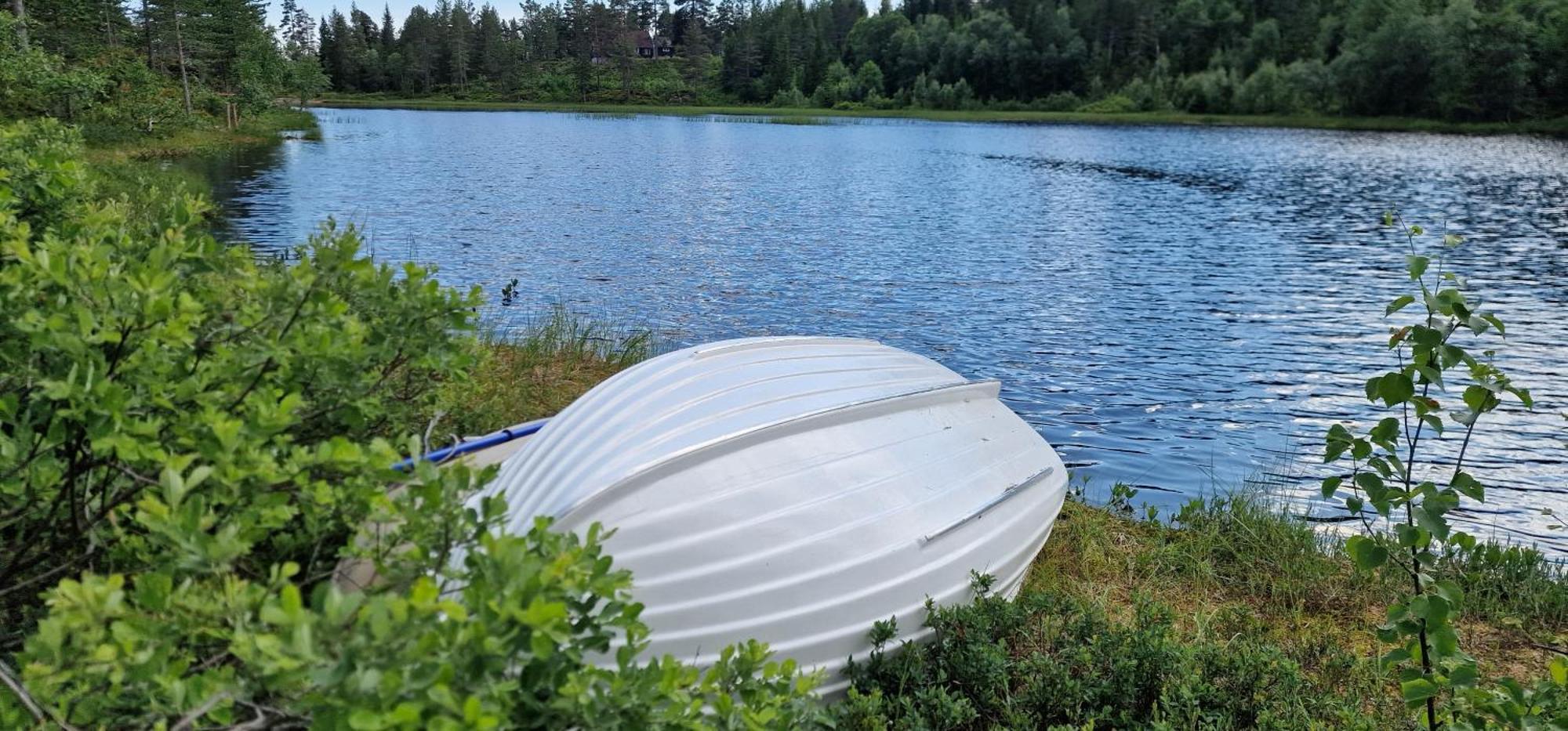 Ro I Sjelen. Hytte Til Leie Pa Skrim. Kongsberg Ngoại thất bức ảnh